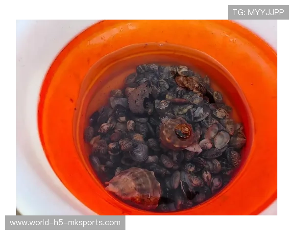 凌晨赶海惠州市民收获满满海鲜桶，惠州赶海几点去比较好